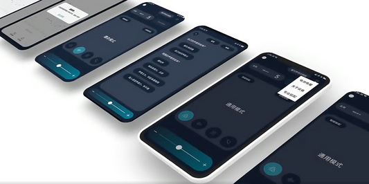 Self Programmable Hearing Aids